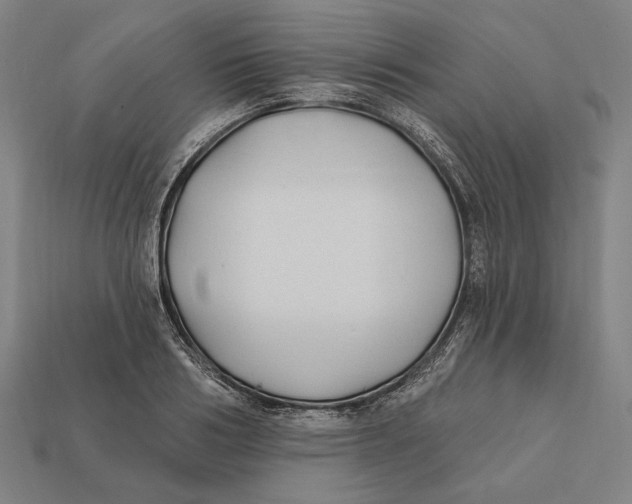 X0000112420986200909111006