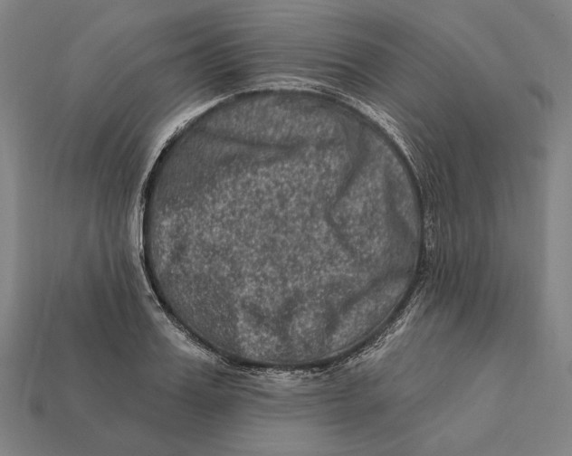 X0000112420987200909111006