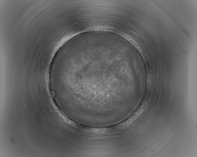 X0000112420989200909111006