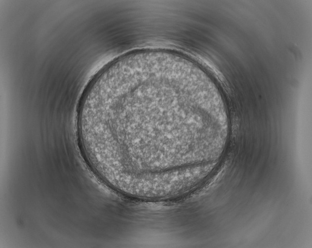 X0000112420990200909111006