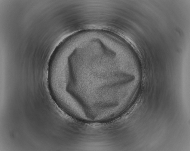 X0000112420992200909111006