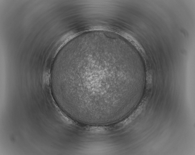 X0000112420993200909111006