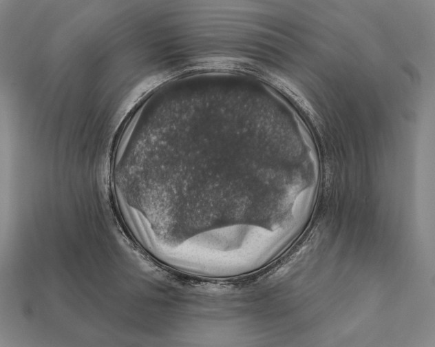 X0000112420994200909111006