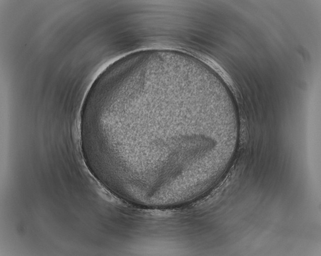 X0000112420996200909111006