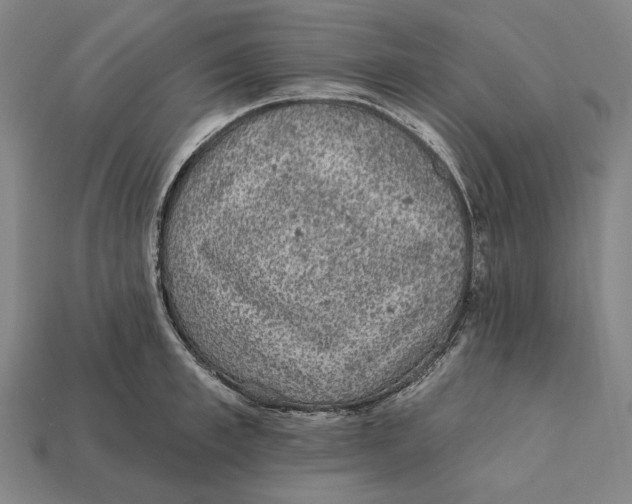 X0000112420997200909111006