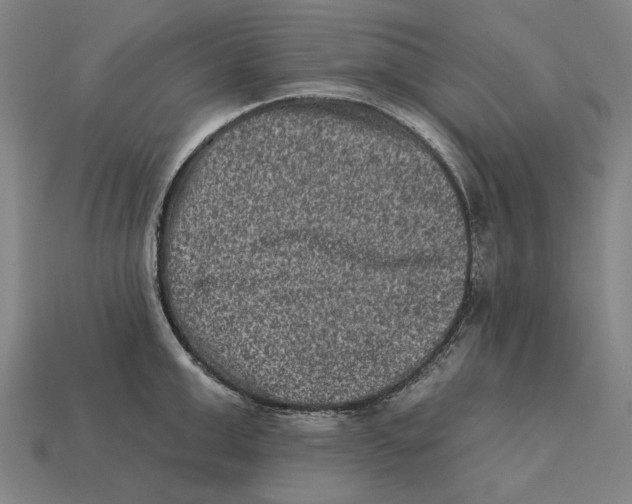 X0000112420999200909111006