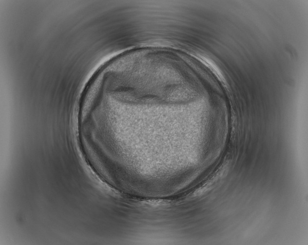 X0000112421000200909111006