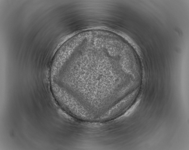 X0000112421001200909111006