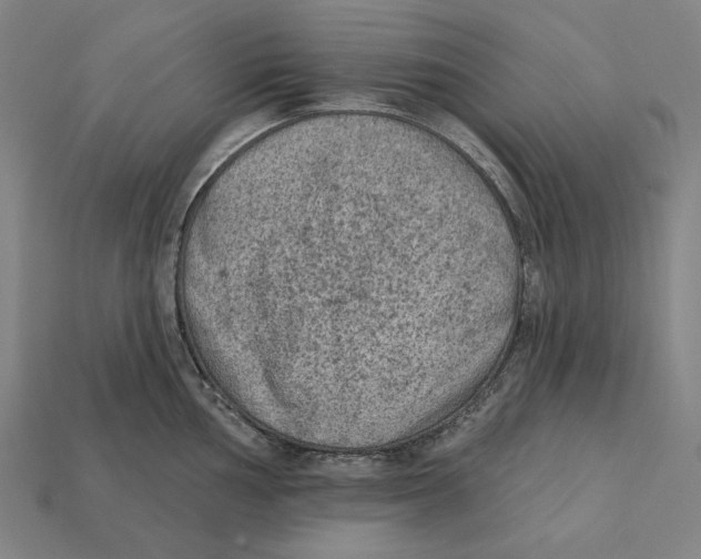 X0000112421002200909111006