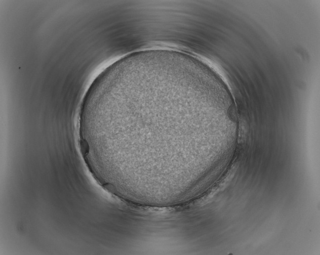 X0000112421003200909111006