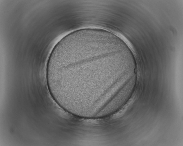 X0000112421004200909111006