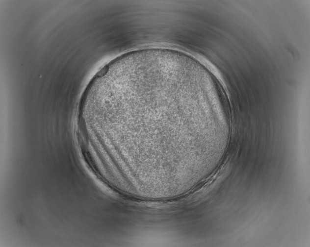 X0000112421005200909111006