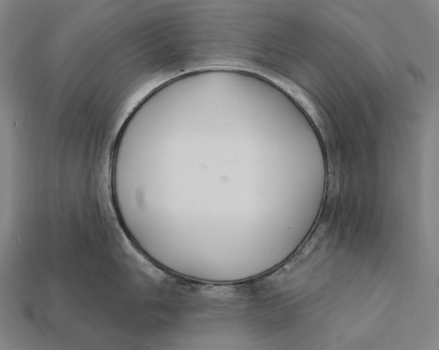 X0000112421006200909111006