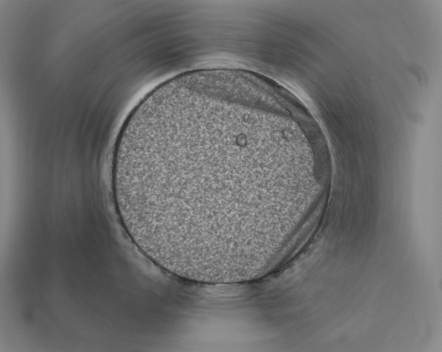 X0000112421008200909111006