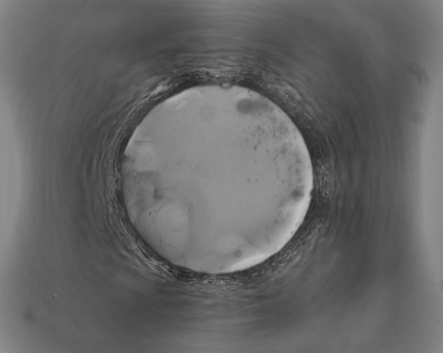 X0000112421009200909111006