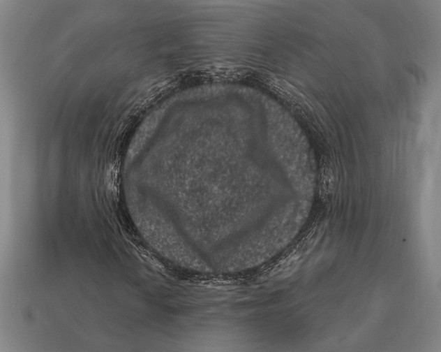 X0000112421010200909111006