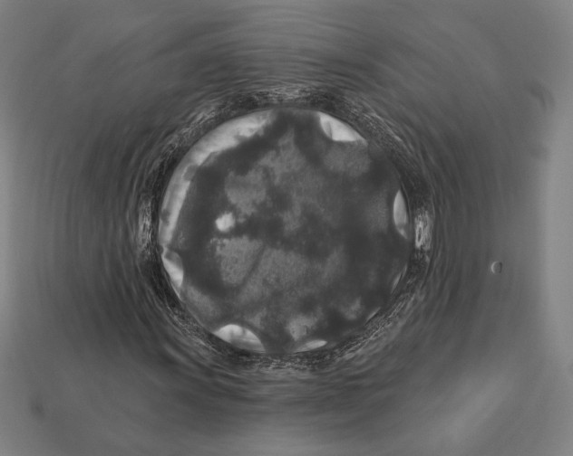 X0000112421011200909111006