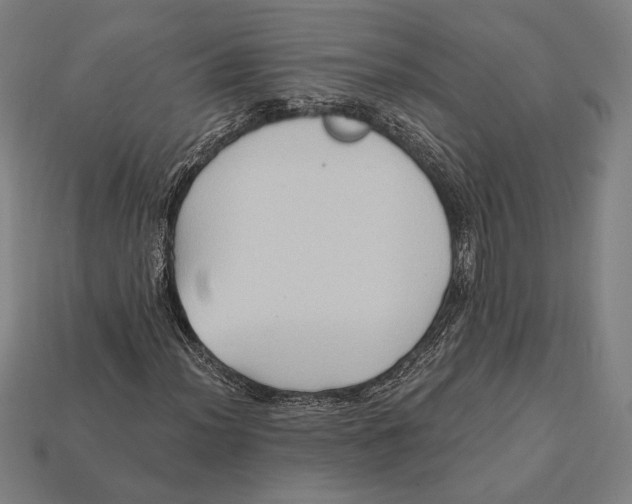 X0000112421012200909111006