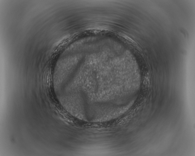 X0000112421014200909111006