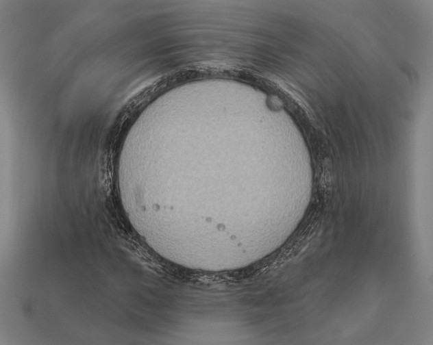 X0000112421015200909111006