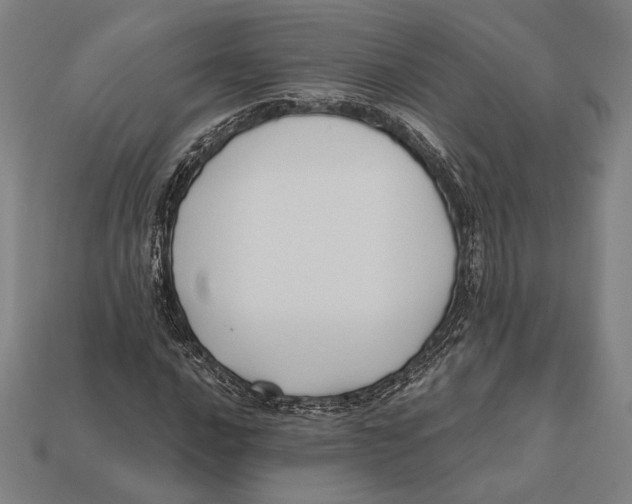 X0000112421016200909111006