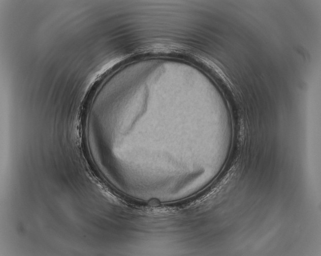 X0000112421018200909111006