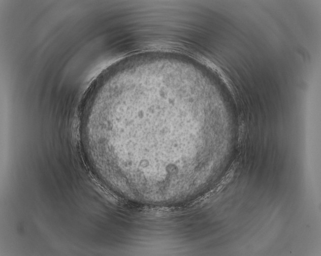 X0000112421019200909111006