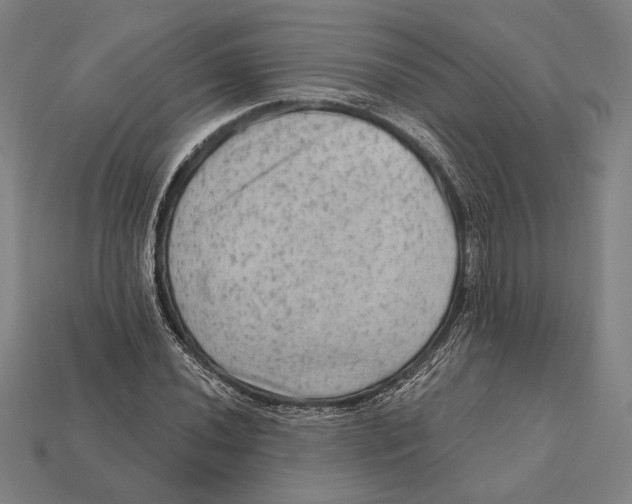 X0000112421020200909111006