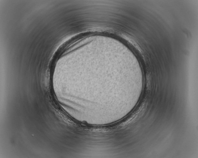 X0000112421021200909111006