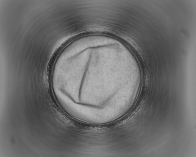 X0000112421022200909111006