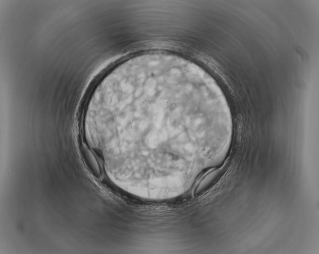 X0000112421024200909111006