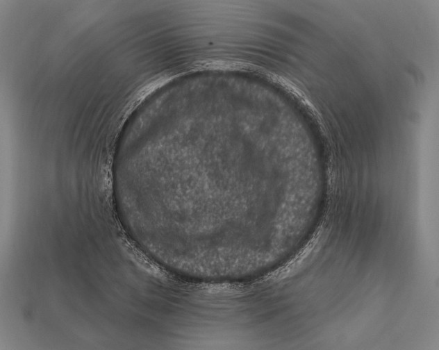 X0000112421025200909111006