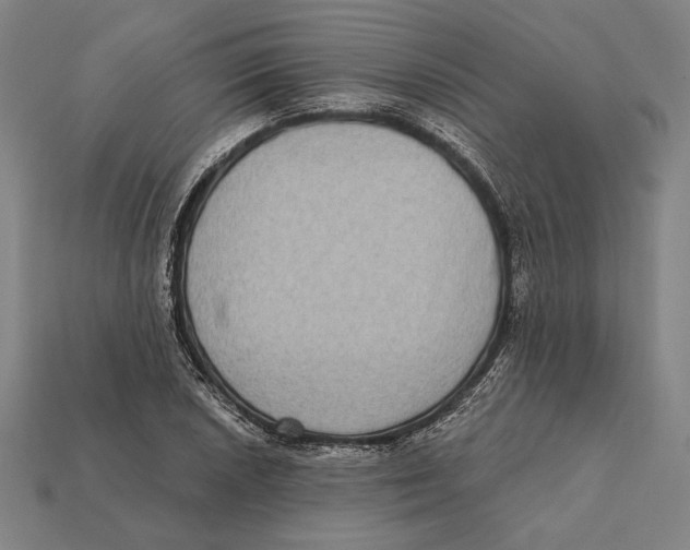 X0000112421026200909111006