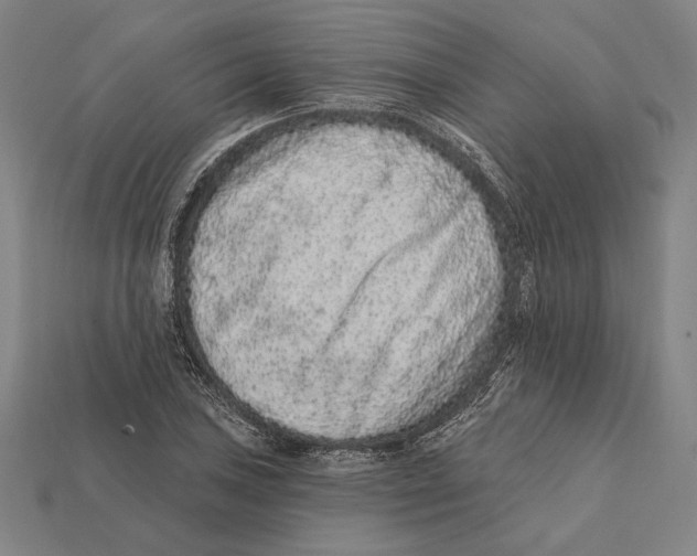 X0000112421027200909111006