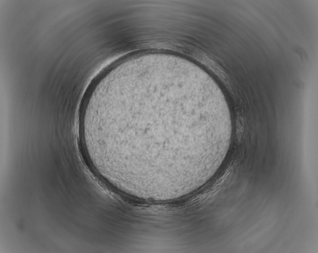 X0000112421028200909111006