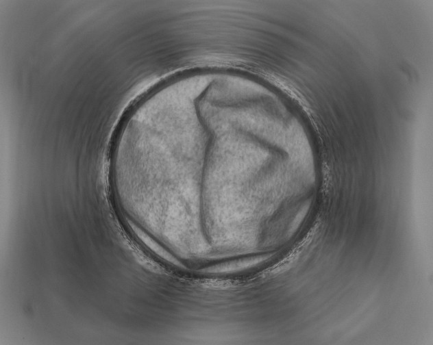 X0000112421029200909111006