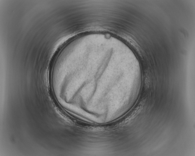 X0000112421030200909111006