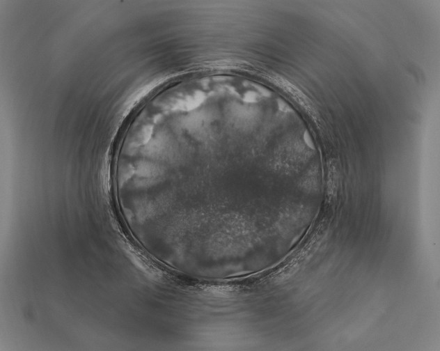 X0000112421031200909111006