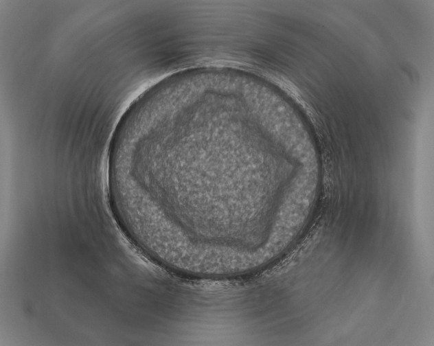 X0000112421032200909111006