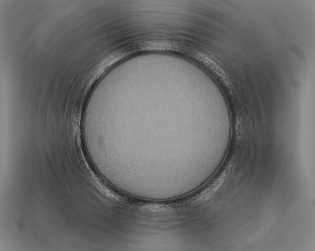 X0000112421033200909111006