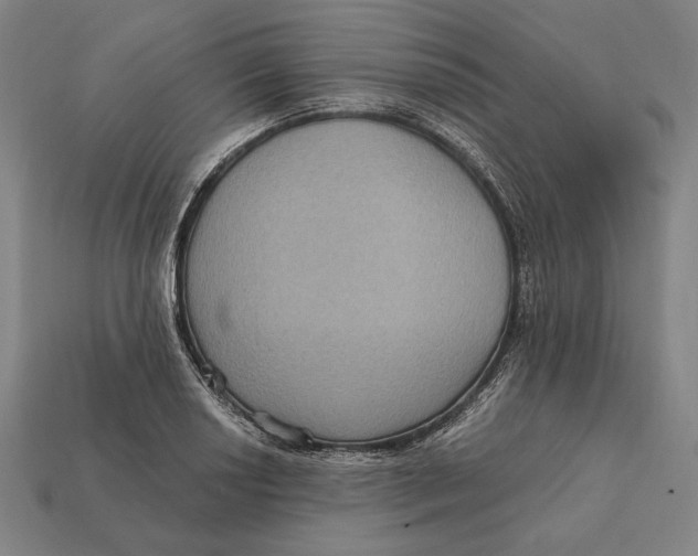 X0000112421034200909111006