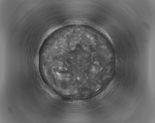 X0000112421035200909111006