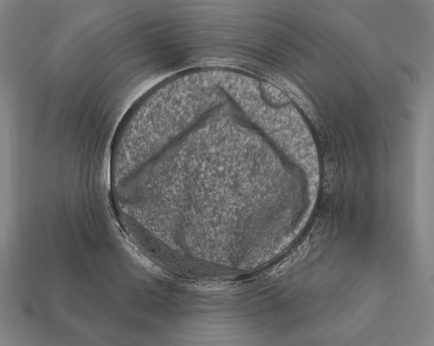 X0000112421036200909111006