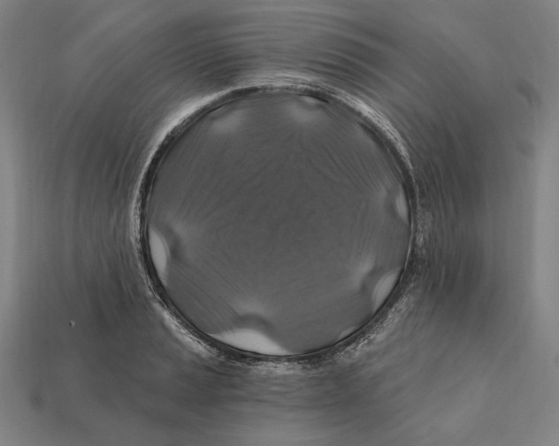 X0000112421037200909111006