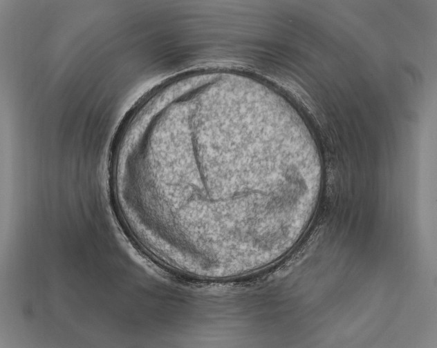 X0000112421038200909111006