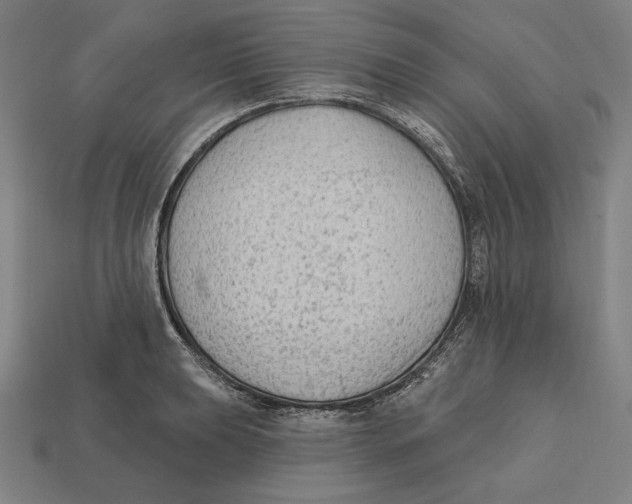 X0000112421039200909111006