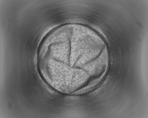 X0000112421040200909111006