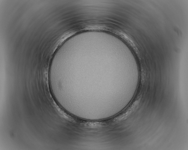 X0000112421041200909111006