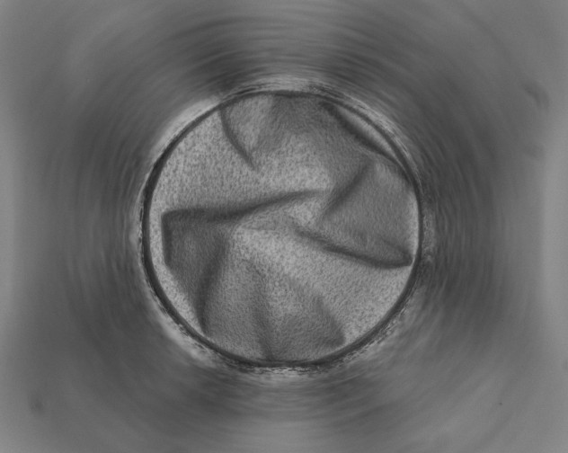 X0000112421042200909111006