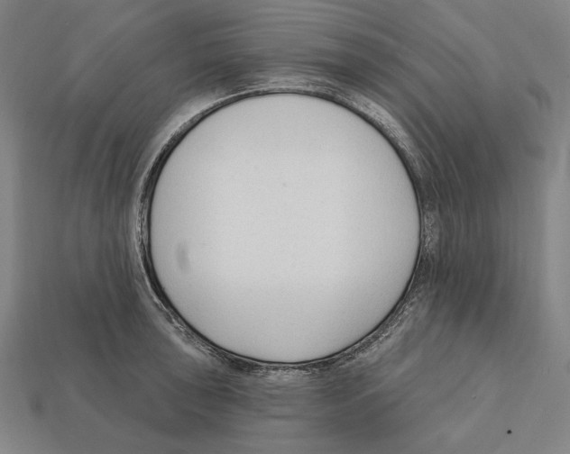 X0000112421043200909111006